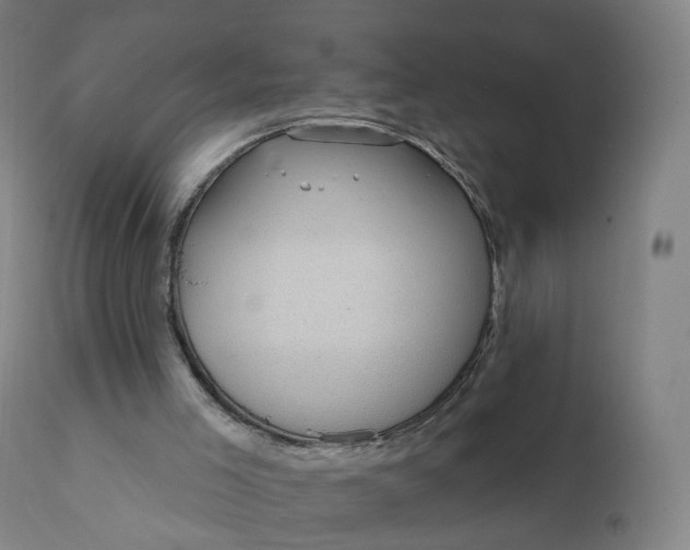 X0000112430005200908281913