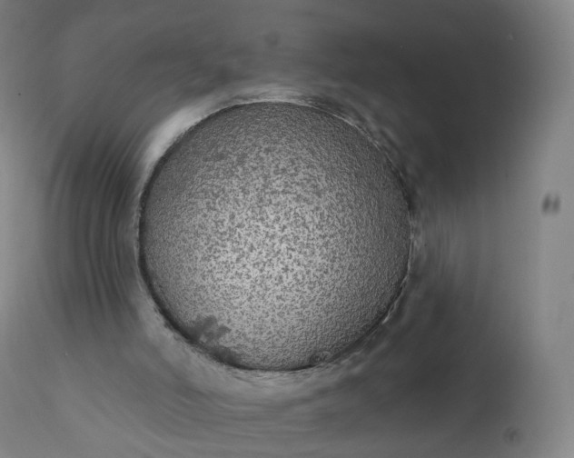 X0000112430006200908281913