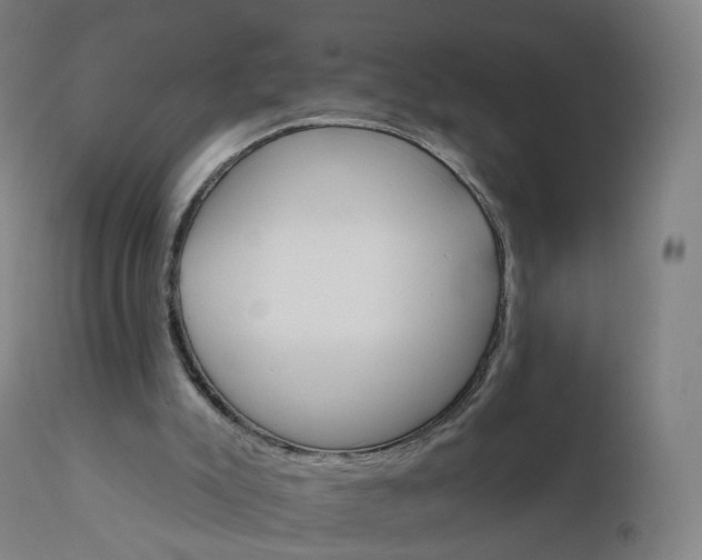 X0000112430007200908281913