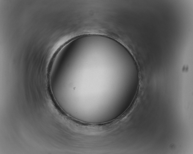 X0000112430008200908281913