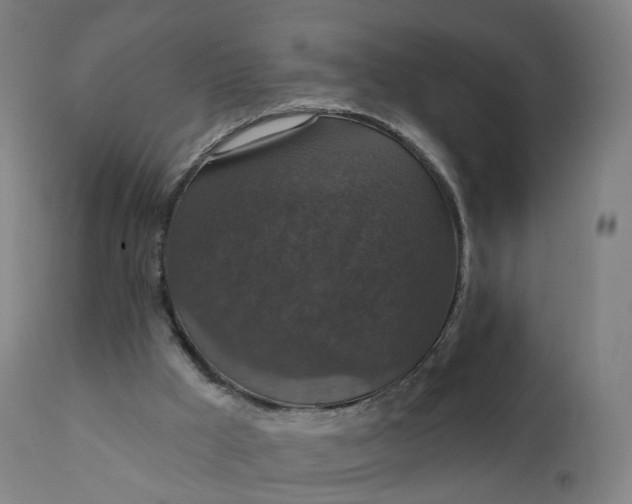 X0000112430009200908281913