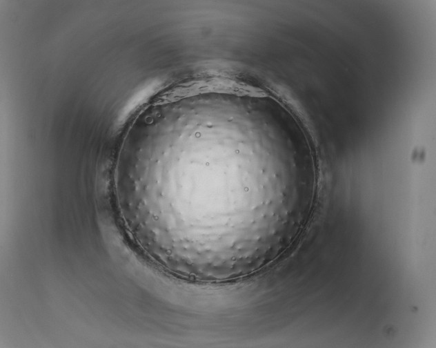 X0000112430010200908281913