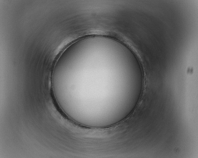 X0000112430011200908281913