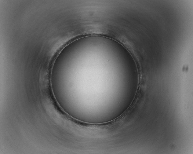 X0000112430012200908281913