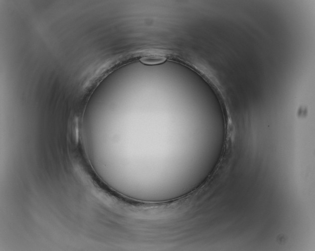 X0000112430013200908281913