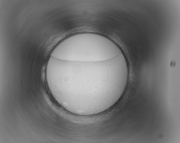 X0000112430014200908281913