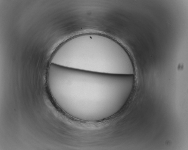 X0000112430015200908281913