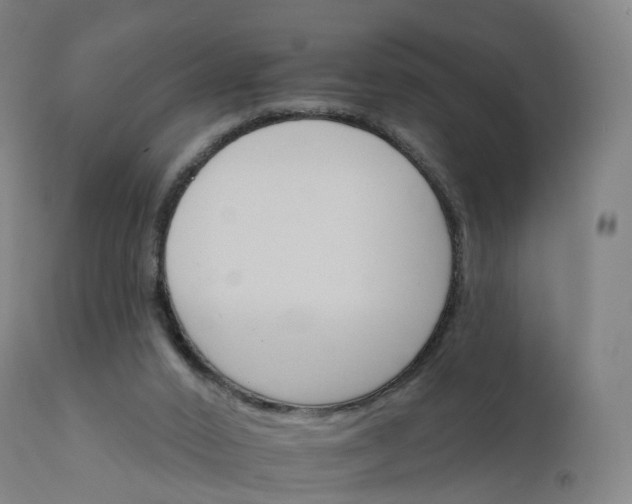 X0000112430016200908281913