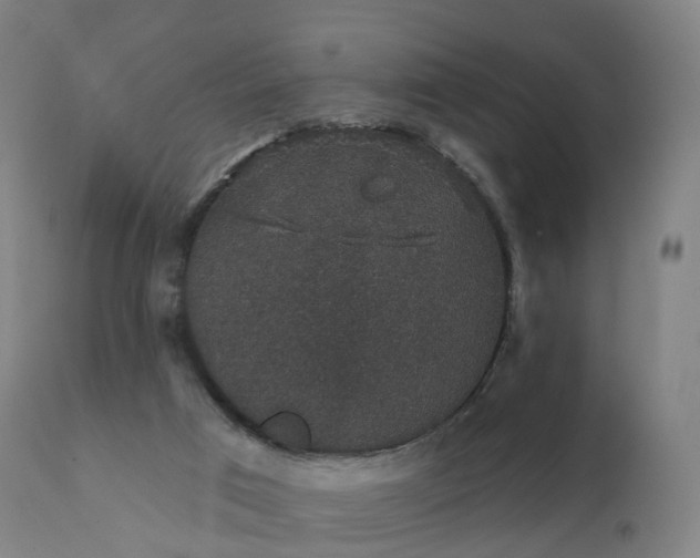 X0000112430017200908281913