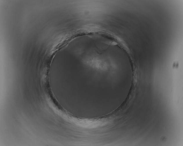 X0000112430018200908281913