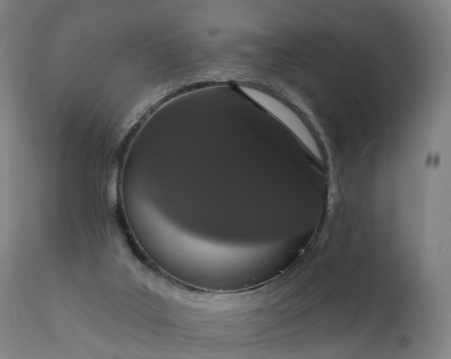 X0000112430019200908281913