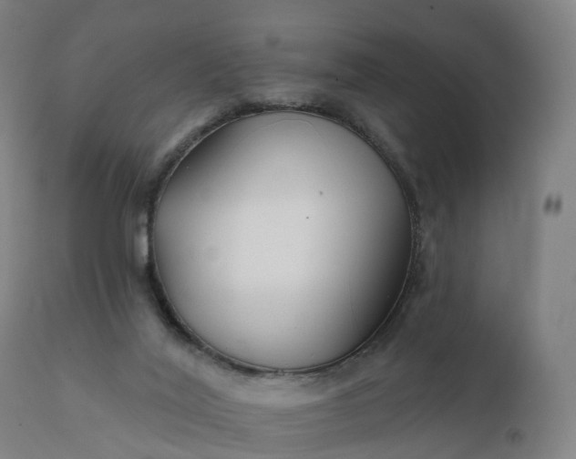 X0000112430020200908281913