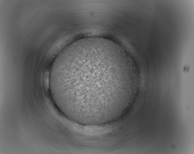 X0000112430022200908281913