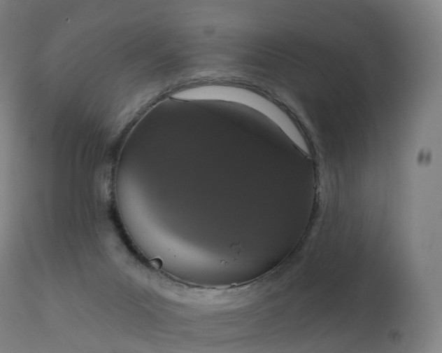 X0000112430023200908281913