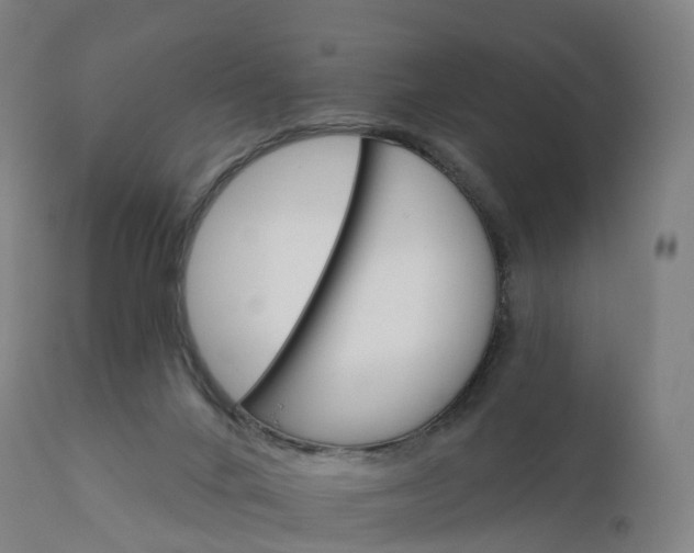 X0000112430024200908281913