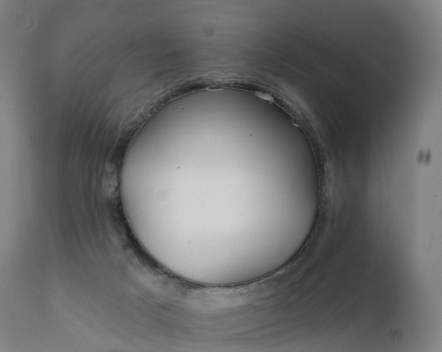 X0000112430025200908281913