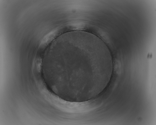 X0000112430026200908281913