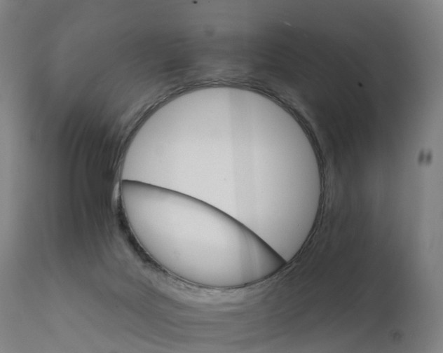 X0000112430027200908281913