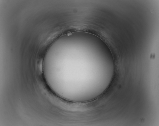 X0000112430028200908281913