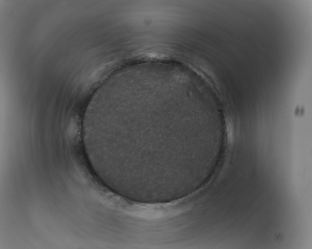 X0000112430029200908281913