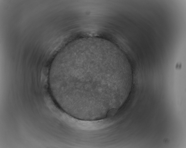 X0000112430030200908281913