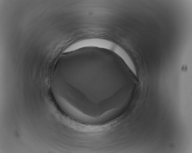 X0000112430031200908281913