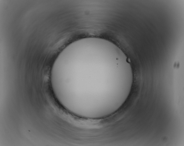 X0000112430032200908281912