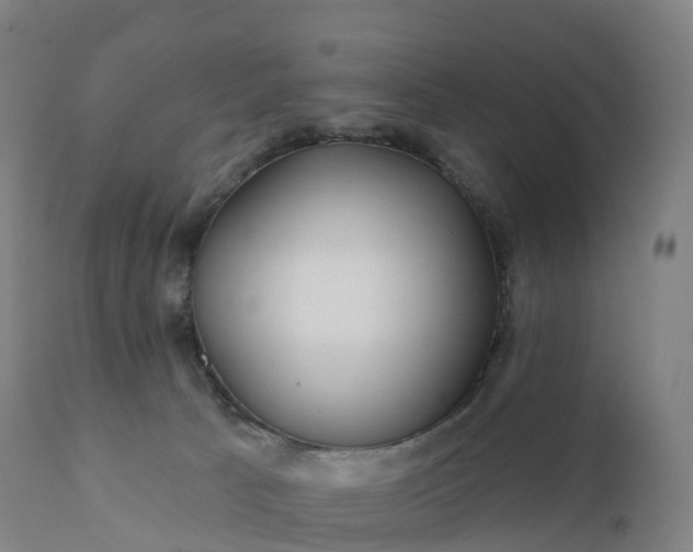 X0000112430033200908281912