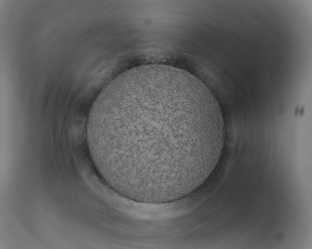 X0000112430034200908281912