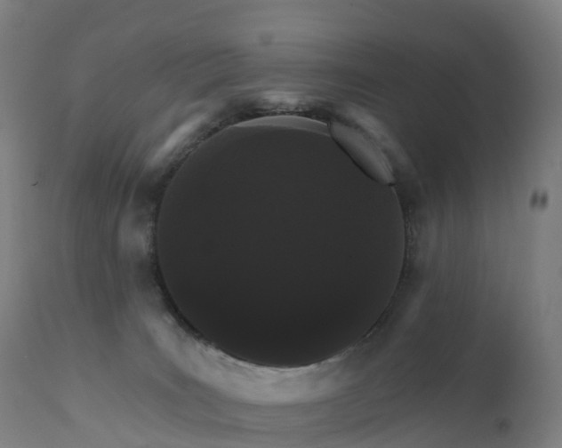 X0000112430035200908281912