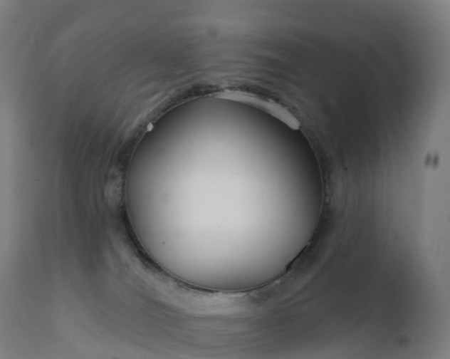 X0000112430036200908281912