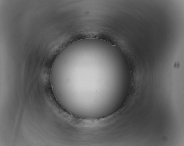 X0000112430037200908281912