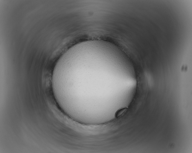 X0000112430038200908281912