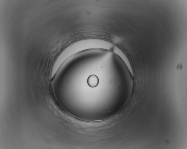 X0000112430039200908281912