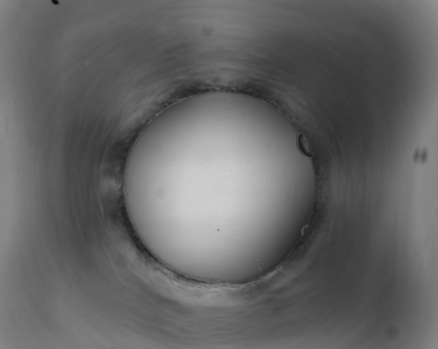 X0000112430040200908281912