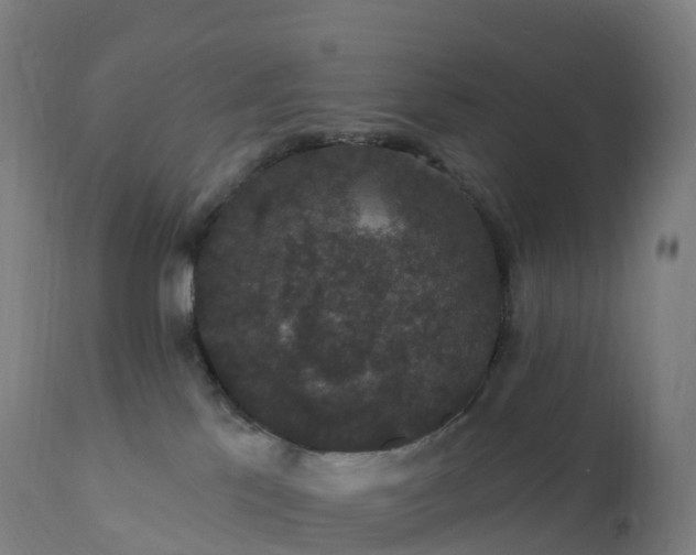 X0000112430041200908281912