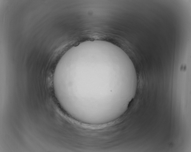 X0000112430043200908281912