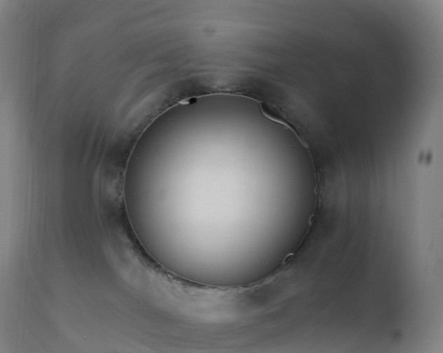 X0000112430044200908281912