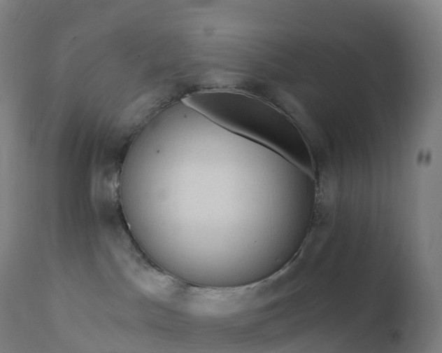 X0000112430045200908281912