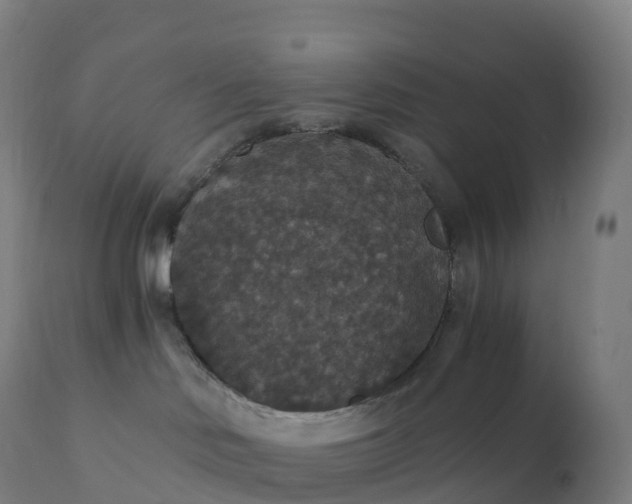 X0000112430046200908281912