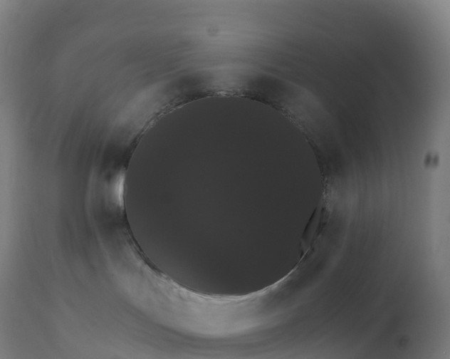 X0000112430047200908281912