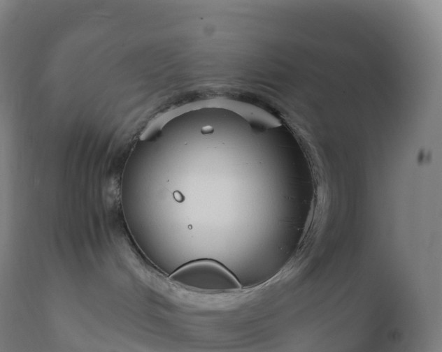 X0000112430048200908281912