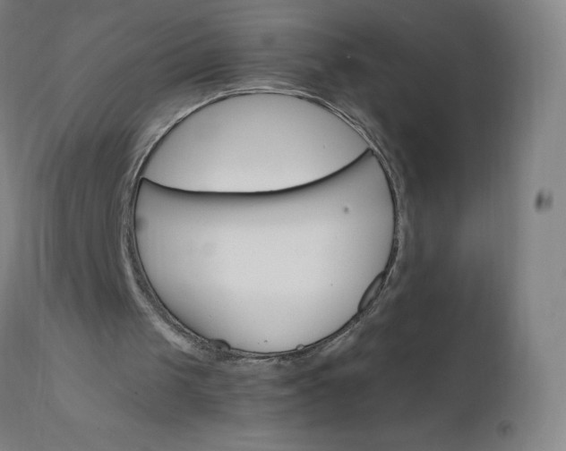 X0000112430049200908281911