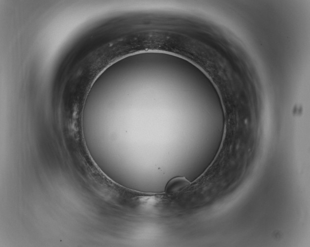 X0000112430050200908281911