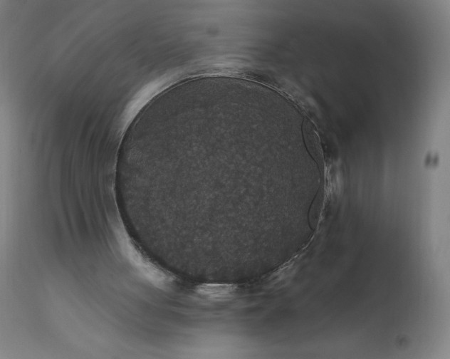 X0000112430051200908281911