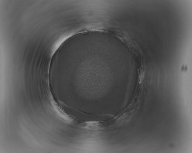 X0000112430052200908281911