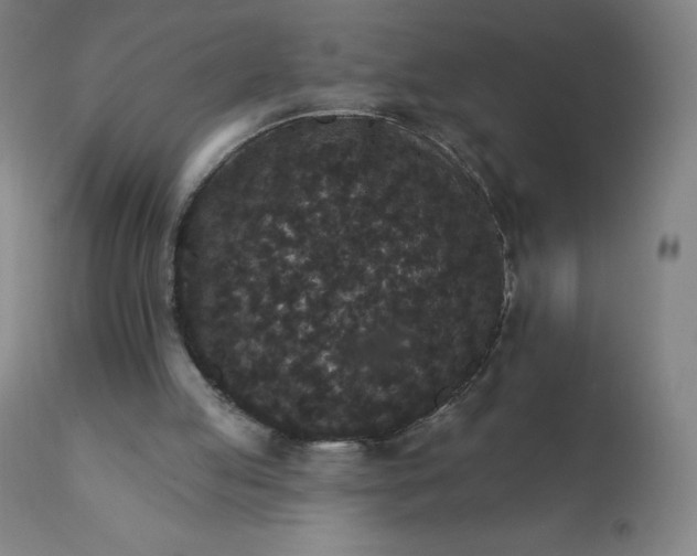 X0000112430053200908281911