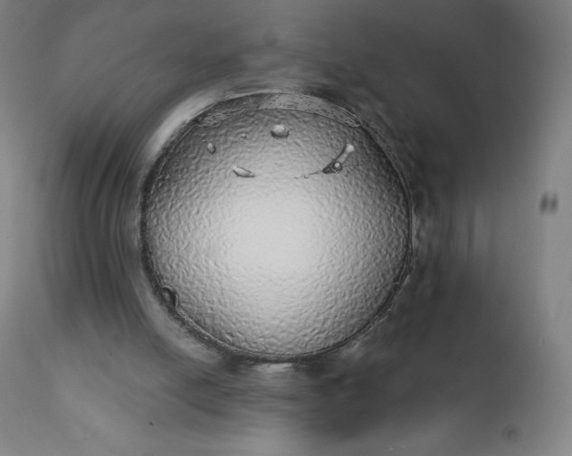 X0000112430054200908281912