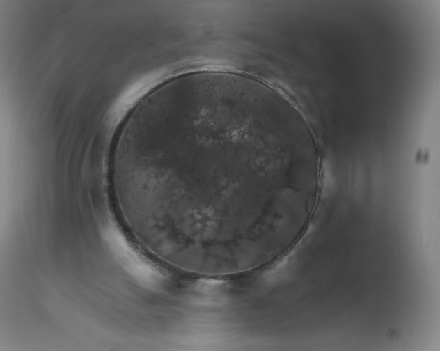 X0000112430055200908281912