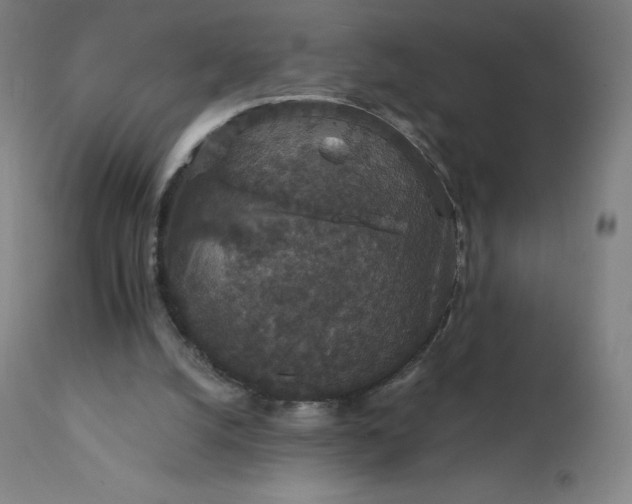 X0000112430056200908281912